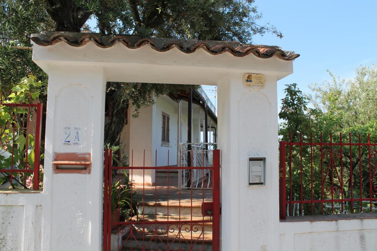 B&B Maratea Vacanze Bagian luar foto